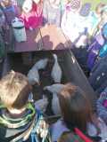 IMG-20231018-WA0010