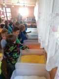 IMG-20231018-WA0014