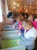 IMG-20231018-WA0028