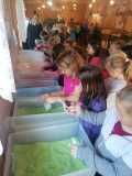 IMG-20231018-WA0029