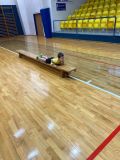 1764528694919