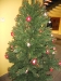 dscn3891