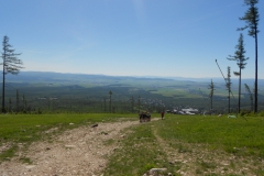 DSCN2796