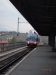P5020040