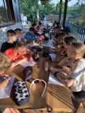 IMG-20250616-WA0003