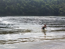 IMG_20250618_155330