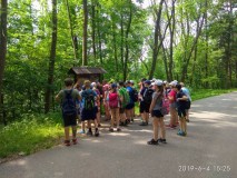 IMG_20190604_152504