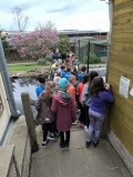 IMG_20240404_131045