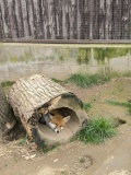 IMG_20240404_132039