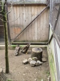 IMG_20240404_132611
