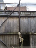IMG_20240404_132946