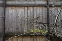 IMG_20240404_133045