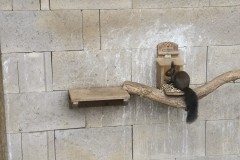 IMG_20240404_134054