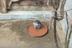 IMG_20240404_135428