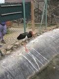 IMG_20240404_135726