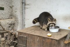 IMG_20240404_140105