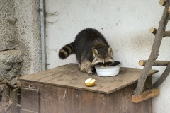 IMG_20240404_140125