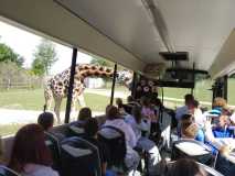 IMG-20250908-WA0016