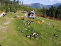 IMG-20250909-WA0001