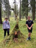 IMG-20250911-WA0012