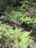 IMG_20200924_150702