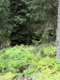 IMG_20200924_151618