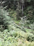 IMG_20200924_151621