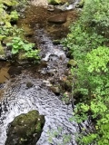 IMG_20200924_154432