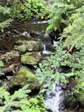 IMG_20200924_154441