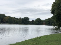 IMG_8374
