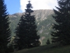 IMG_5383.JPG
