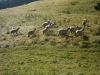 IMG_5427.JPG