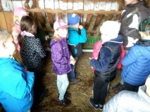 IMG_20191021_111942_HDR