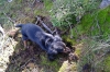 sam_6521