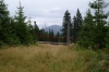 sam_6546