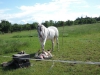 DSCN2654