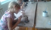 20150818_102229.jpg