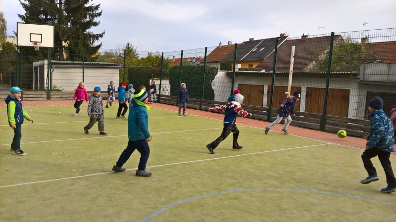 WP_20181023_10_26_17_Pro