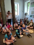 IMG_20240527_101656