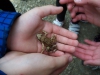100_3592.JPG