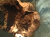 2012-05-31-10-14-06