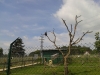 2012-05-31-11-04-33