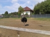 2012-05-31-11-06-13