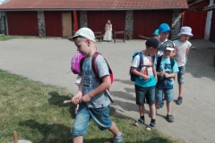 IMG_20180608_101803