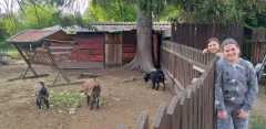 IMG-20220602-WA0006