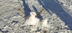 IMG_20220121_093140