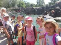 IMG-20190610-WA0012