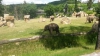 20150616_125526.jpg