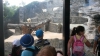 20150616_132753.jpg