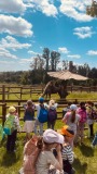 IMG-20250611-WA0001